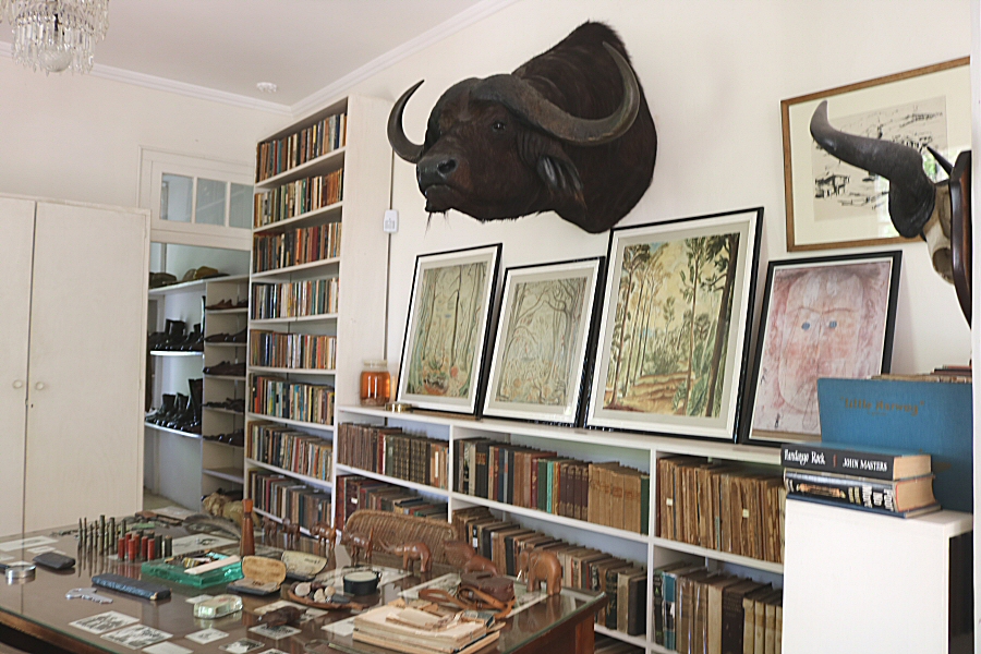  the big black water buffalo head  on the wall in the working room