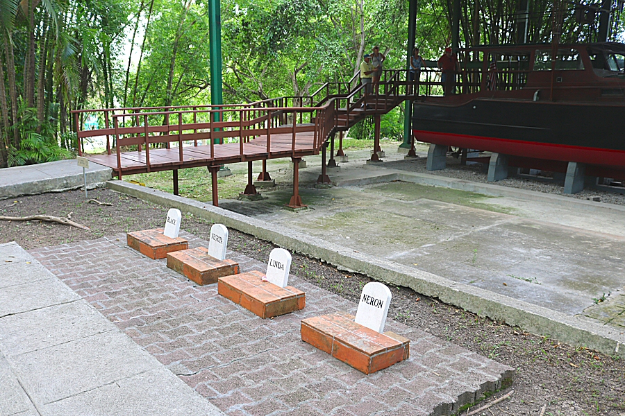  the graves of the pets of Hemingway