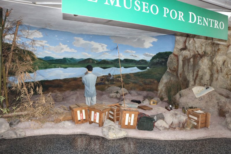 The diorama at the entrance demonstrates the work of the scientists on the expedition of the natural life.